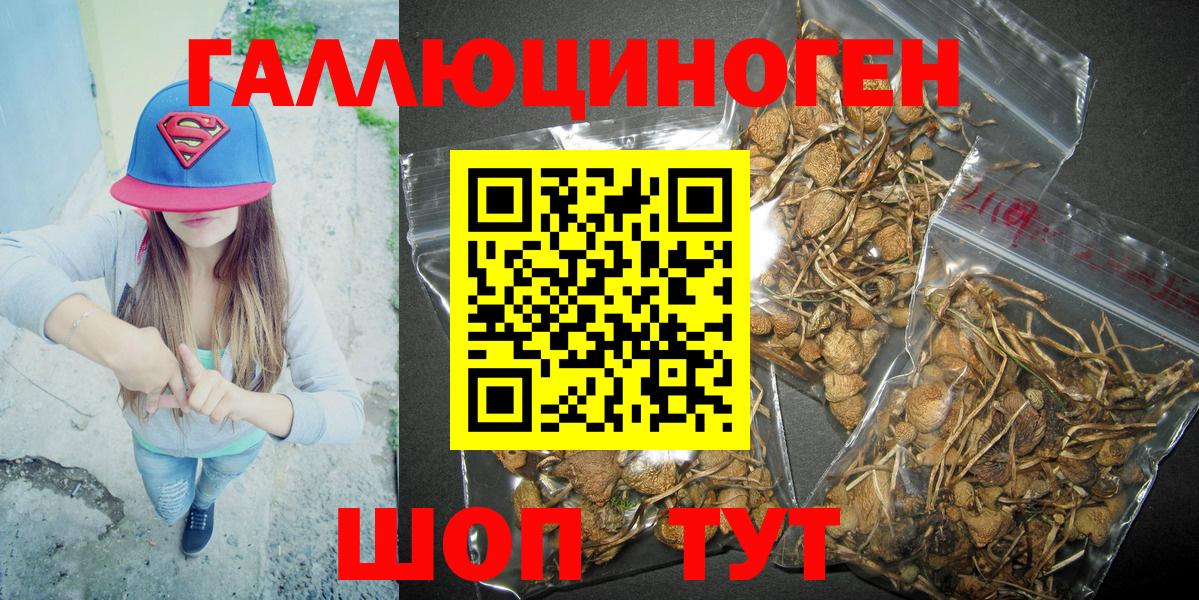Галлюциногенные грибы GOLDEN TEACHER  Вход с VPN  Рязань 