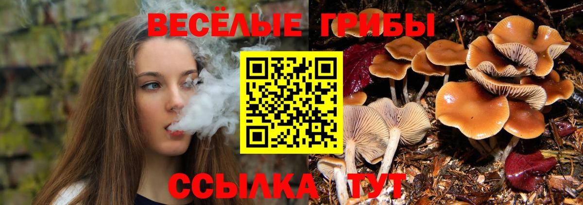 Псилоцибиновые грибы MAGIC MUSHROOMS Рязань